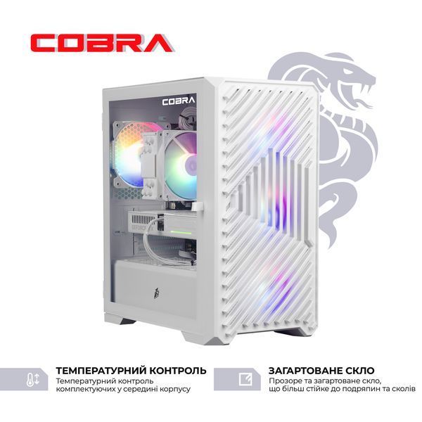 Ігровий комп`ютер COBRA GO RTX 5060 / Ryzen 5 5500 / RAM 32GB / SSD 1TB (R5G26502) R5G26502 фото
